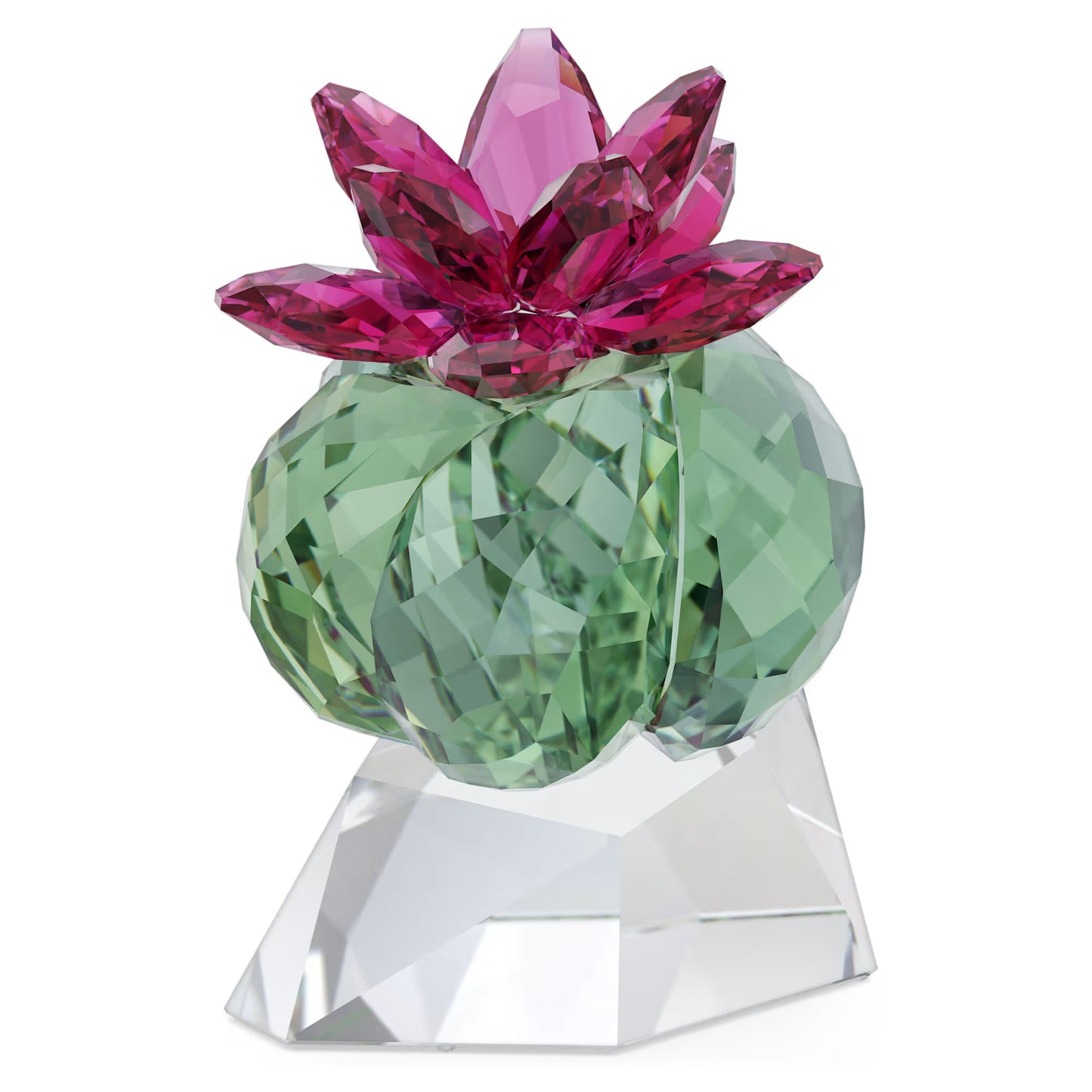 SWAROVSKI Figur Crystal Flowers Bordeaux Cactus